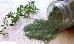 آغاز کشت آویشن باغی در خراسان جنوبی
