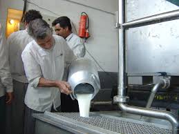 خریداری هزار تن شیر از دامداران استان