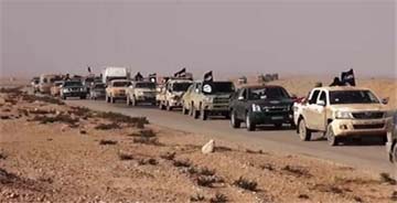 خودروهای" داعش "با پلاک سعودی در عراق