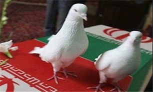 تدفین پیکر 2 شهید گمنام دفاع مقدس در دالاهو