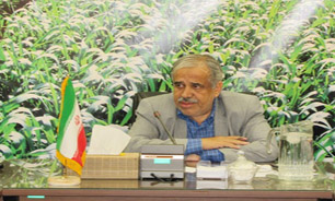 معاون آب و خاک وزیر جهاد کشاورزی:راندمان آبياري بخش کشاورزي در کشور 35 درصد است