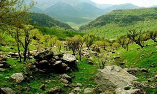 یک سوم تنوع زیستی کشور متعلق به زاگرس مرکزی