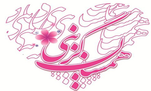 سایت همسان‌گزینی نیمه دوم دی ماه رونمایی می‌شود