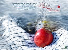 نخبگان بسیجی، سرمایه های انسانی متخصص