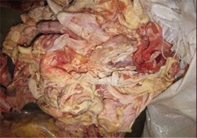 «خمیر مرغ‌» همچنان غیرمجاز است