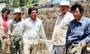 شکل اصلی بیکاری در کشور حضور اتباع بیگانه نیست