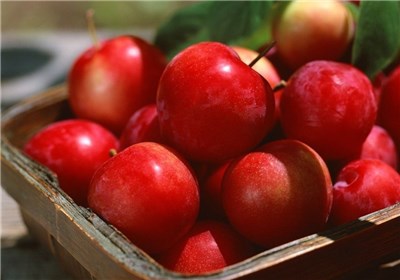 کمبودی برای میوه شب عید وجود ندارد