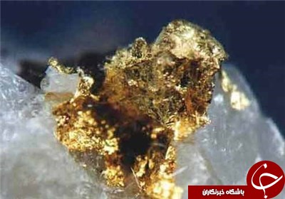 استخراج طلا از فاضلاب شهری!