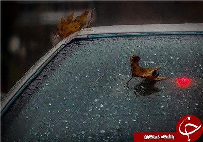 ادامه بارندگی‌ها در کشور؛ وزش باد شدید در روزهای دوشنبه و سه‌شنبه در مناطق مرکزی و شرقی