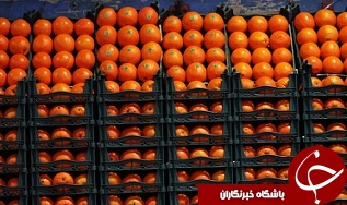 پرتقال به صدر جدول گرانی بازگشت