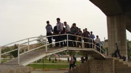 ////////////محسنی