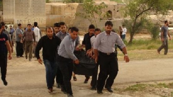 ////////////محسنی