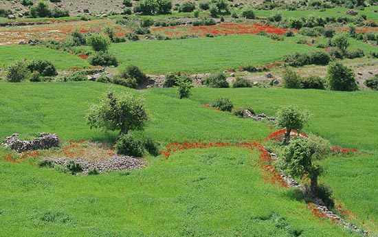 سفر به  