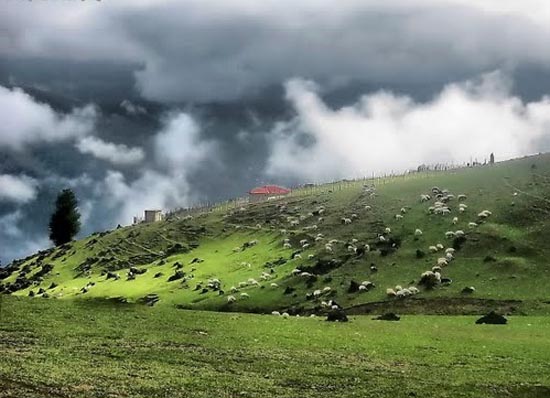 سفر به  