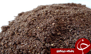 تولید گوگرد آلی و گوگرد غنی‌شده در کشور