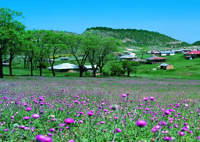 منطقه ای منحصر به فرد در گلستان + تصاویر