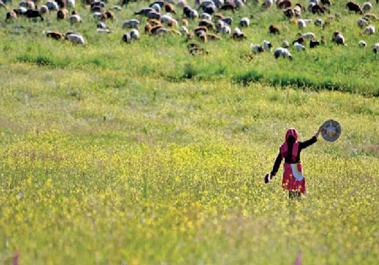 منطقه ای منحصر به فرد در گلستان + تصاویر