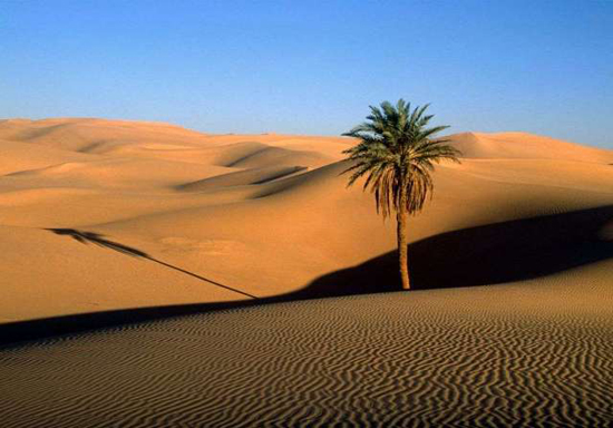 دریای شنی در مصر + تصاویر