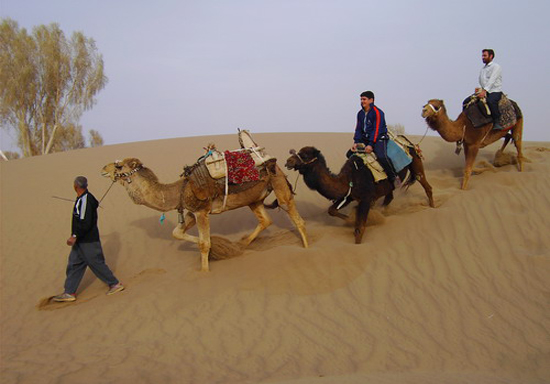 دریای شنی در مصر + تصاویر