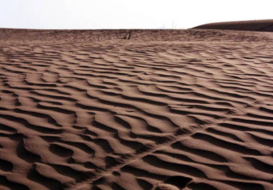 دریای شنی در مصر + تصاویر