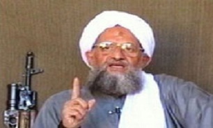القاعده به نفع داعش منحل می‌شود