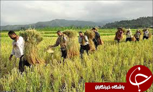دولت از ساخت و سازهای غیر اصولی جلوگیری کند