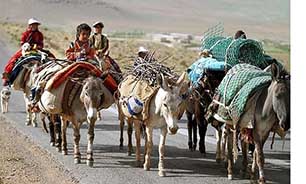 آغاز کوچ زودهنگام عشایر لرستان