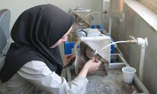 تجربه‌های شنیدنی بانوی تراشکار سنگ‌های قیمتی