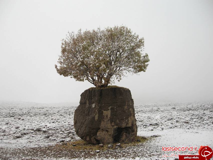 تصاویری از سنگ صبور استان فارس