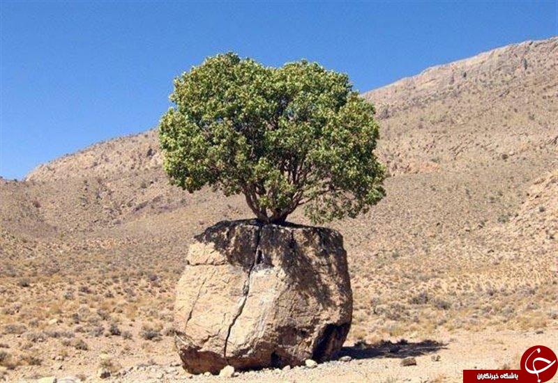 تصاویری از سنگ صبور استان فارس