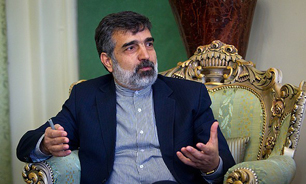 مهمترین دستاورد صنعت هسته‌ای کشورمان غنی‌سازی است/به دنبال تثبیت «بیانیه سوئیس» هستیم