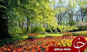 غذاهای  ممنوعه در فصل بهار