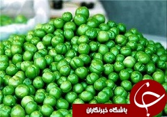 کارفرماها فعلاً قرارداد کارگران را با حق مسکن ۲۰هزارتومانی امضا کنند