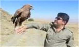 رهاسازی ده قطعه پرنده به دامان طبیعت در شهرستان سقز