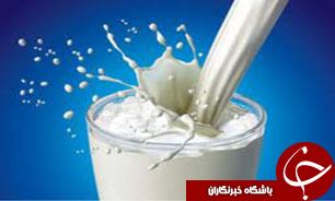 تولید بیش از20هزار تن شیر توسط عشایر گیلان