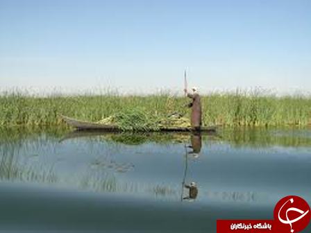 تالاب بین المللی هامون جان تازه گرفت