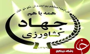 درآمد بیش از 400 میلیارد ریال برای کشاورزان گیلان
