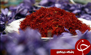 سنگینی سایه غفلت مسئولان بر طلای&zwnj;سرخ / زعفران ایران از طلا بودن پشیمان است
