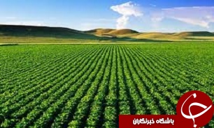 استان اردبيل بالاترين کاربري کشاورزي را دارد