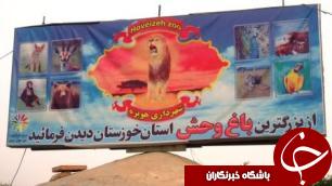بزرگترین باغ وحش خوزستان دامپزشک ندارد
