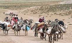 کوچ ییلاقی عشایر خراسان شمالی با بارش باران به تاخیرافتاد