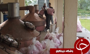 آغاز فعالیت 65 کارگاه عرقیات گیری صنعتی و سنتی