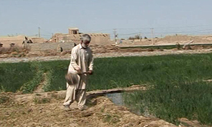 سرزندگی سیستان و بلوچستان با احیای دریاچه هامون + فیلم