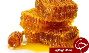 آغاز برداشت عسل بهاره در استان خوزستان
