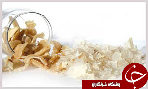 در آمد 6 ميليون دلاری صادرات گياه دارويی کتيرا از استان اصفهان
