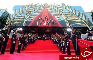سلفی گرفتن در جشنواره کن ممنوع شد!