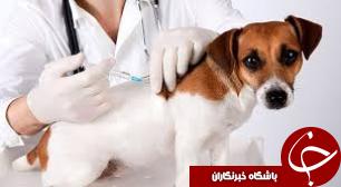 بیماری وحشتناکی که روزانه 160 قربانی میگیرد