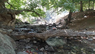سراب گروس کجاست؟