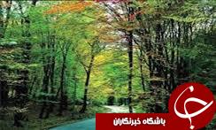 مانور اطفای حریق در پارک ملی گلستان