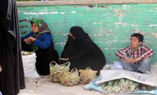 گیاهان کوهی &laquo;دنـا&raquo; در معرض انقراض